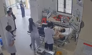 Hai vợ chồng bị ong tấn công, bác sĩ gỡ 49 con ong trên đầu người vợ