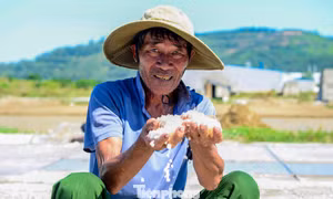 Mưu sinh dưới trời nắng nóng bỏng rát