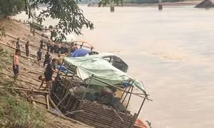 Hơn 3 tấn cá lồng nuôi trong lòng hồ thủy điện bị chết