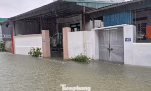 Cứ mưa là ngập, người dân bì bõm lội nước về nhà 