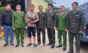 Người dân bắt được gà lôi trắng khi đi rừng