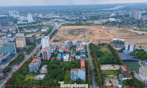 Khu 'đất vàng' hơn 4ha đấu giá thành công vẫn chịu cảnh bỏ hoang nhiều năm