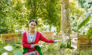 Hành trình đánh thức sinh kế từ rừng của cô gái xứ Thanh ứng cử đại biểu Quốc hội 