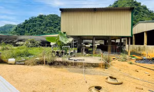 Cận cảnh trại lợn ở Thanh Hóa, nơi xảy ra vụ tai nạn khiến 5 người chết