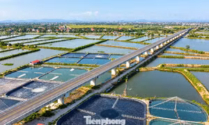Đường ven biển gần 2.000 tỷ nối Thanh Hóa - Ninh Bình sắp khai thác