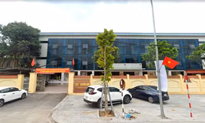 Chi Cục Kiểm lâm Nghệ An bị yêu cầu kiểm điểm vì vắng mặt trong hội nghị quan trọng