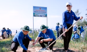 Tuổi trẻ Nghệ An hướng về biên giới trong Chiến dịch Thanh niên tình nguyện Hè 2026