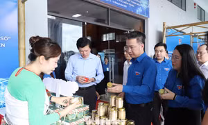 23 dự án khởi nghiệp thanh niên nông thôn miền Trung vào cuộc đua bán kết