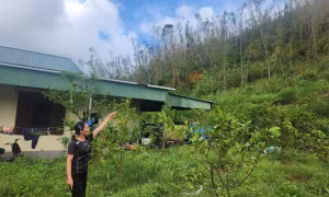 Nhiều đồi núi sạt lở, người dân sống bất an