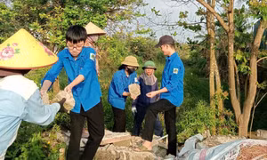 Tuổi trẻ Hà Tĩnh thực hiện nhiều hoạt động ý nghĩa Ngày Chủ nhật xanh