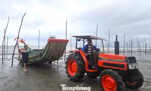 Ngư dân hối hả kéo ‘cần câu cơm’ về nhà tránh bão số 10 