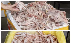 Phát hiện kho đông lạnh chứa hàng nghìn chân gà, xúc xích lậu