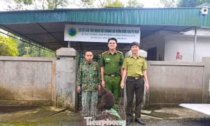 Hai cá thể khỉ quý hiếm bất ngờ đi lạc vào nhà dân