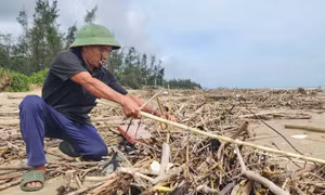Sau bão, bãi biển Hà Tĩnh ngập rác thải