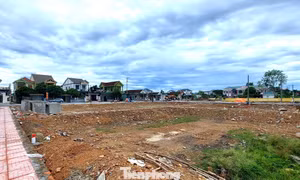 Đất đấu giá vùng quê cao gấp hơn 4 lần khởi điểm, nhiều lô rao bán chênh tiền tỷ