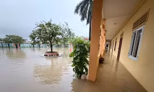 Hàng nghìn học sinh Nghệ An phải nghỉ học do mưa lũ