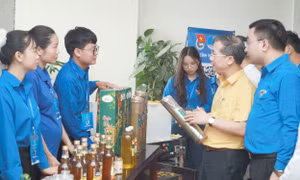 Những người trẻ Nghệ An trên hành trình lập thân, lập nghiệp