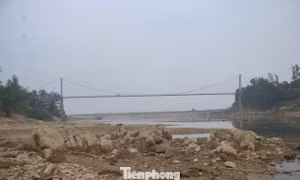 Nghệ An: Mực nước sông Con xuống thấp, nhiều trụ cầu trơ móng 