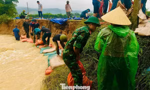 Hàng chục người đội mưa gia cố đập Khe Dứa