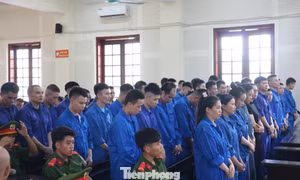 48 bị cáo trong đường dây lừa đảo xuyên quốc gia hầu tòa
