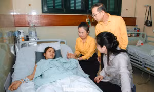 Chuyện về cô giáo được Chủ tịch nước tặng Huân chương Dũng cảm