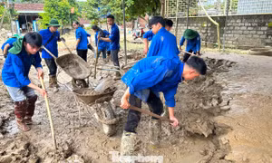 Tuổi trẻ Nghệ An giúp người dân khắc phục hậu quả sau lũ lịch sử