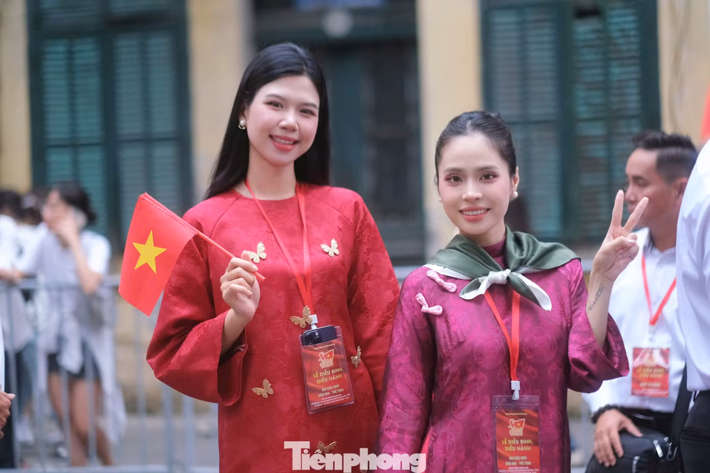 tp-11.jpg