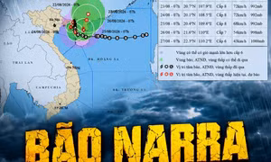 TP NOW: Bão số 4 (Narra) có thể 'lòng vòng' trên biển Đông trong 3 ngày tới 