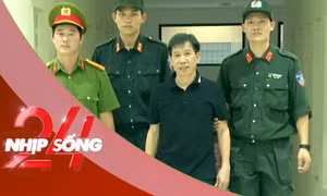 NHỊP SỐNG 24: Quân sư đằng sau trùm giang hồ Vi 'ngộ' là ai? Nhân viên y tế bị sa thải vì video vô cảm