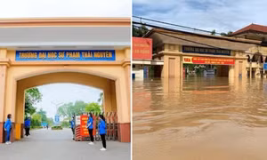 Cổng trường ĐHSP Thái Nguyên trước và trong ngập lụt cho thấy nước sâu đến đâu