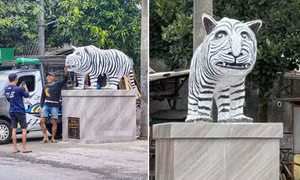 Tượng hổ trắng ở Indonesia gây chú ý vì ngoại hình độc lạ: Ngựa vằn lai hà mã?