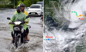 Thực hư tin bão số 15 Koto sẽ “kéo” cơn bão Senyar vào khu vực Biển Đông