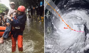 So sánh quy mô và cường độ của bão Bavi với bão Yagi.