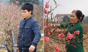Tiết Lập Xuân thứ hai trong năm Âm lịch: Năm nay sẽ nồm ẩm nhiều hơn?