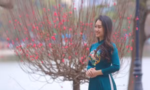 Lịch nghỉ lễ, Tết trong năm 2027: Người lao động có những kì nghỉ dài nào?