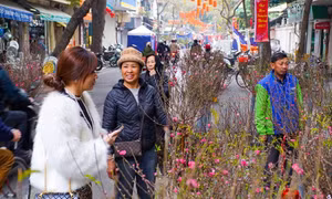 Thực hư thông tin nguy cơ mưa to, rét đậm dịp Tết Nguyên đán: Sự thật là gì?