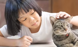 Vết mèo cào dù nhỏ hoặc không chảy máu vẫn cần được đánh giá nguy cơ bệnh dại.