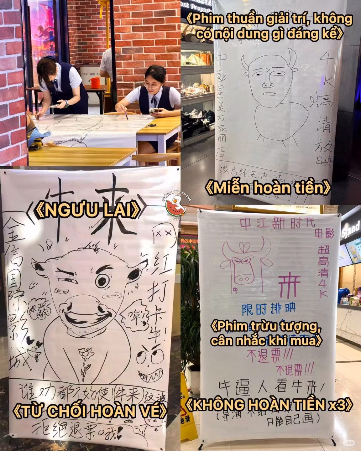 nguu-lai-3.jpg