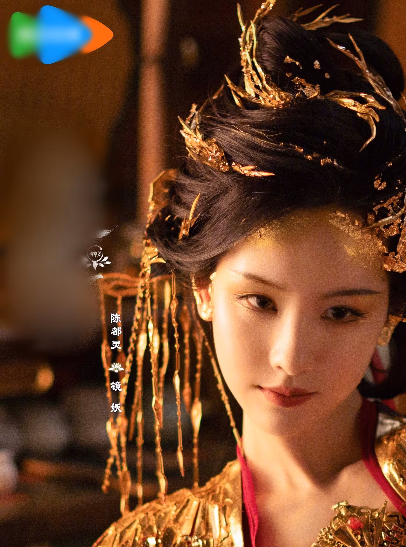 tran-do-linh-14.jpg
