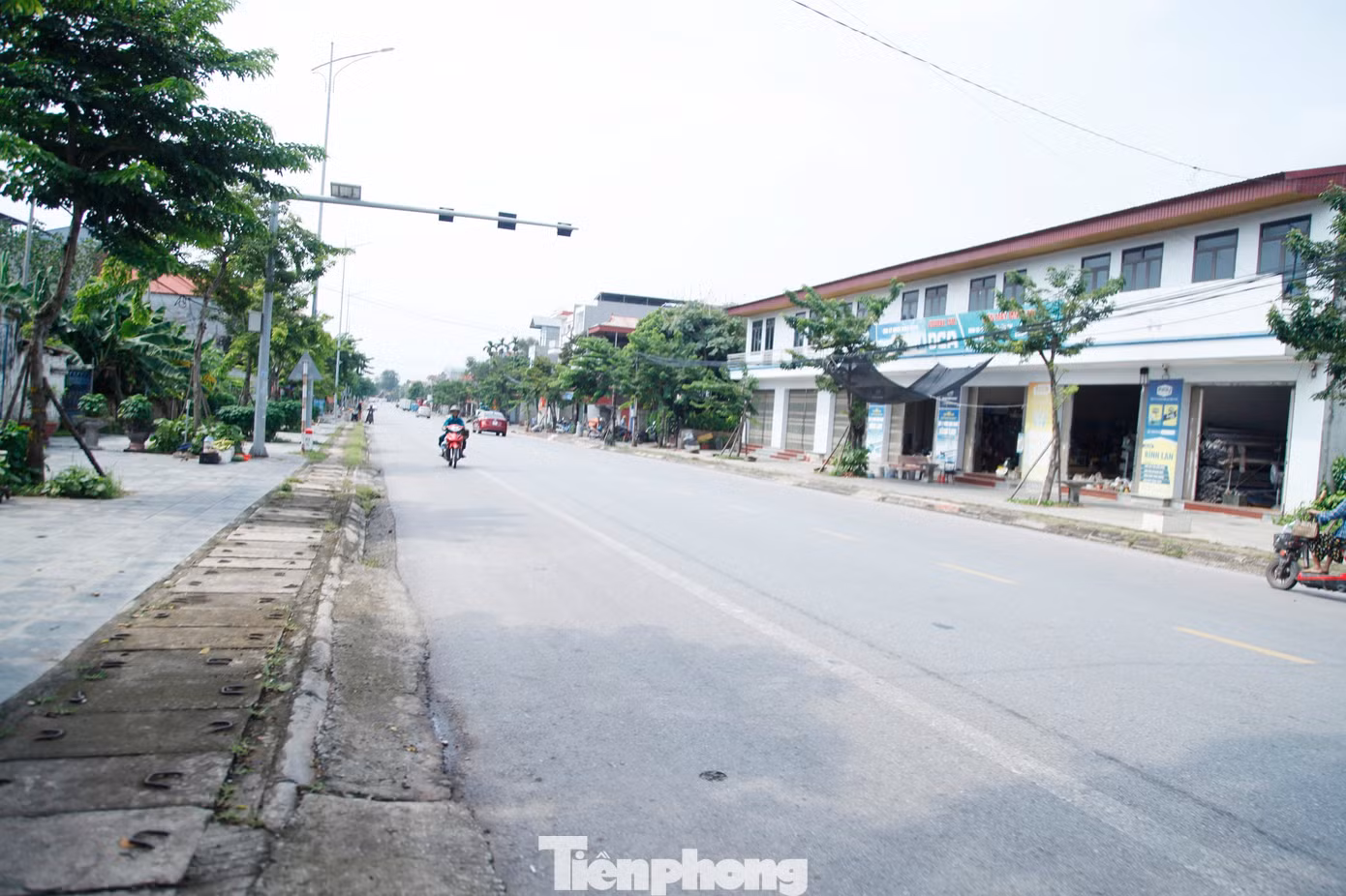 tp-3.jpg