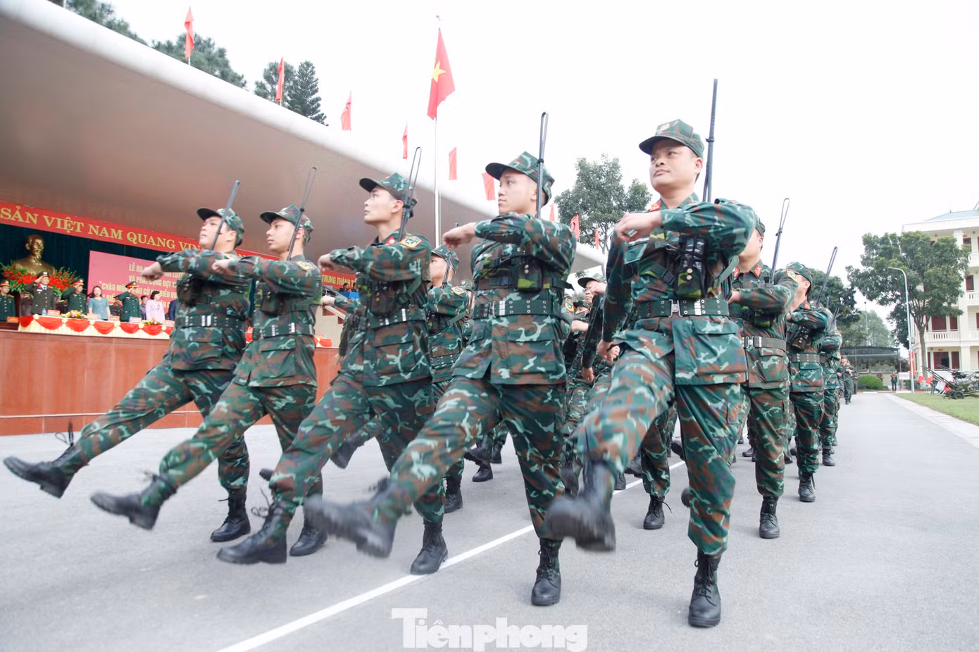 tp-q19.jpg
