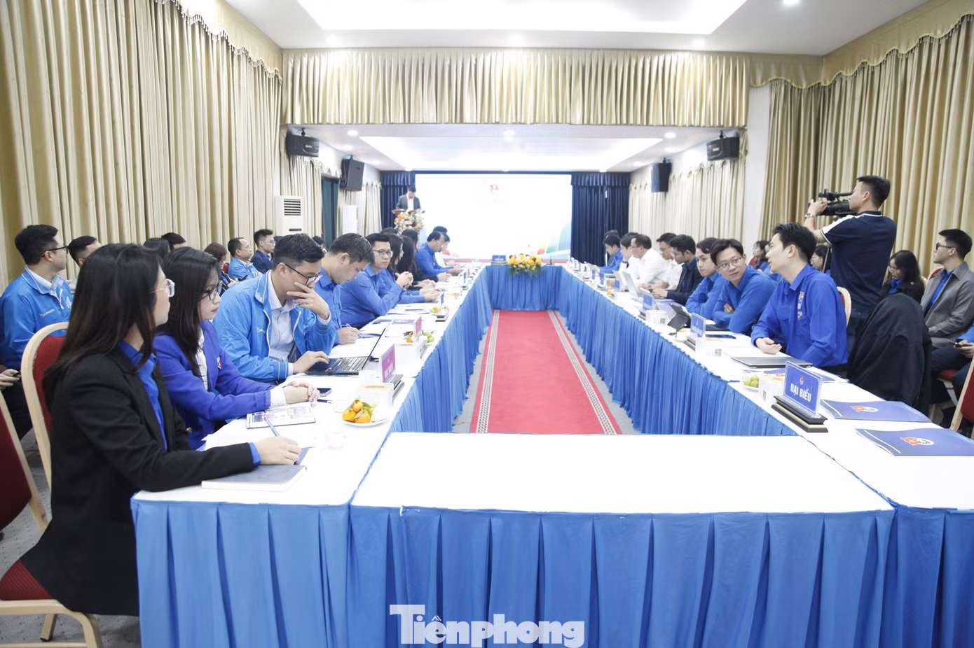 tp-b19.jpg