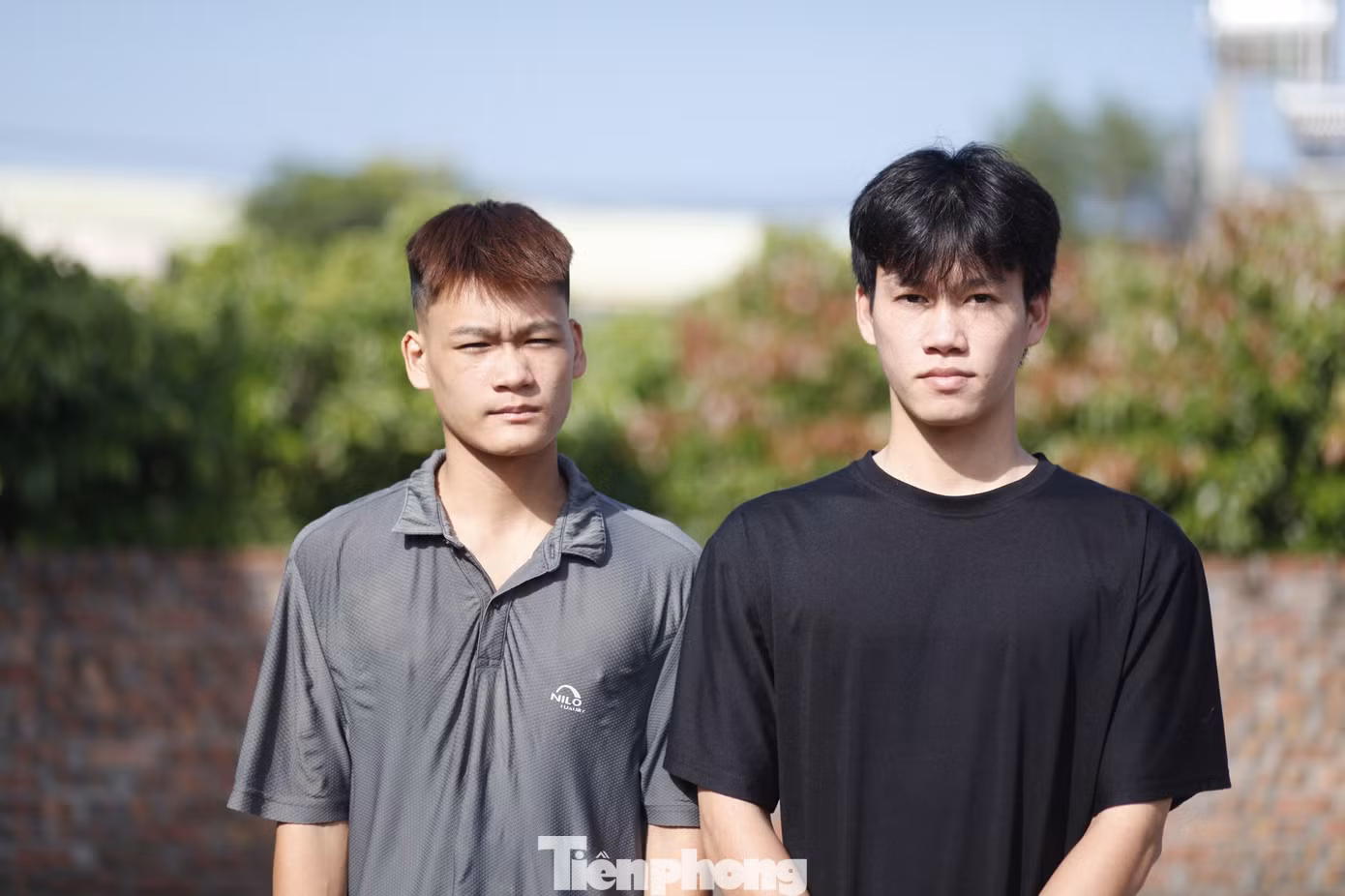 tp-n1.jpg