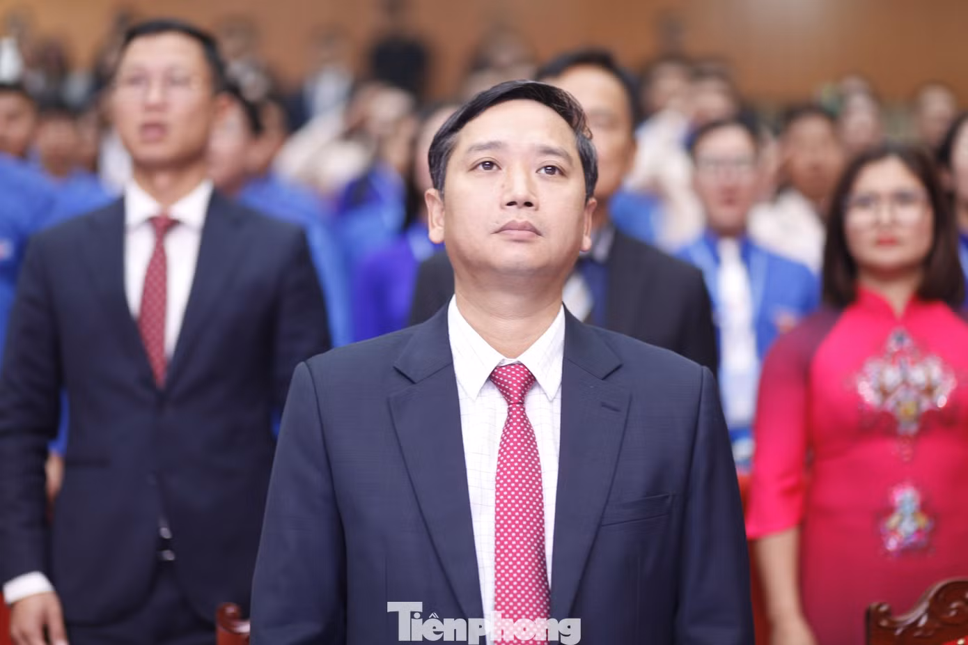 tp-33.jpg