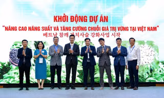 Sắp hình thành vùng sản xuất vừng hiện đại tại Nghệ An, Đồng Tháp