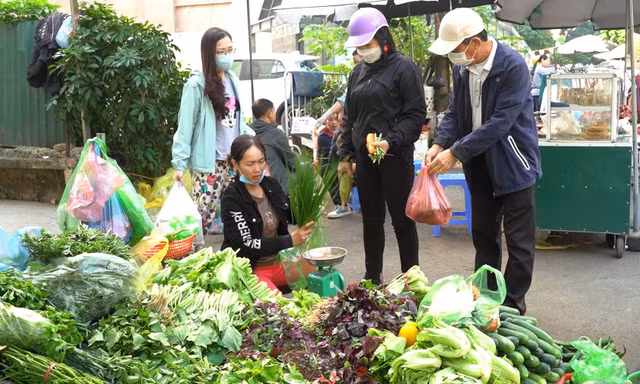 Lý giải nguyên nhân rau xanh Hà Nội tăng giá phi mã