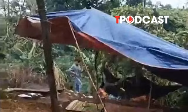 NÓNG 14/8: Xác định nghi phạm vụ nữ nhân viên trường học tử vong tại rẫy càphê