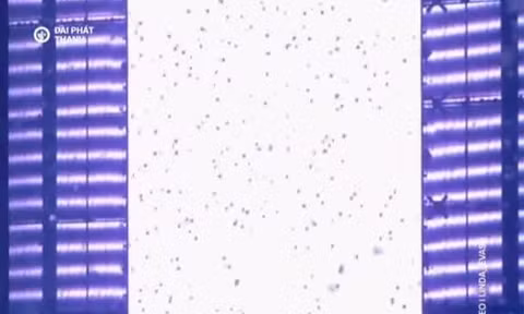 Big Bang cúi gập người trước 45.000 người ở Mỹ Đình