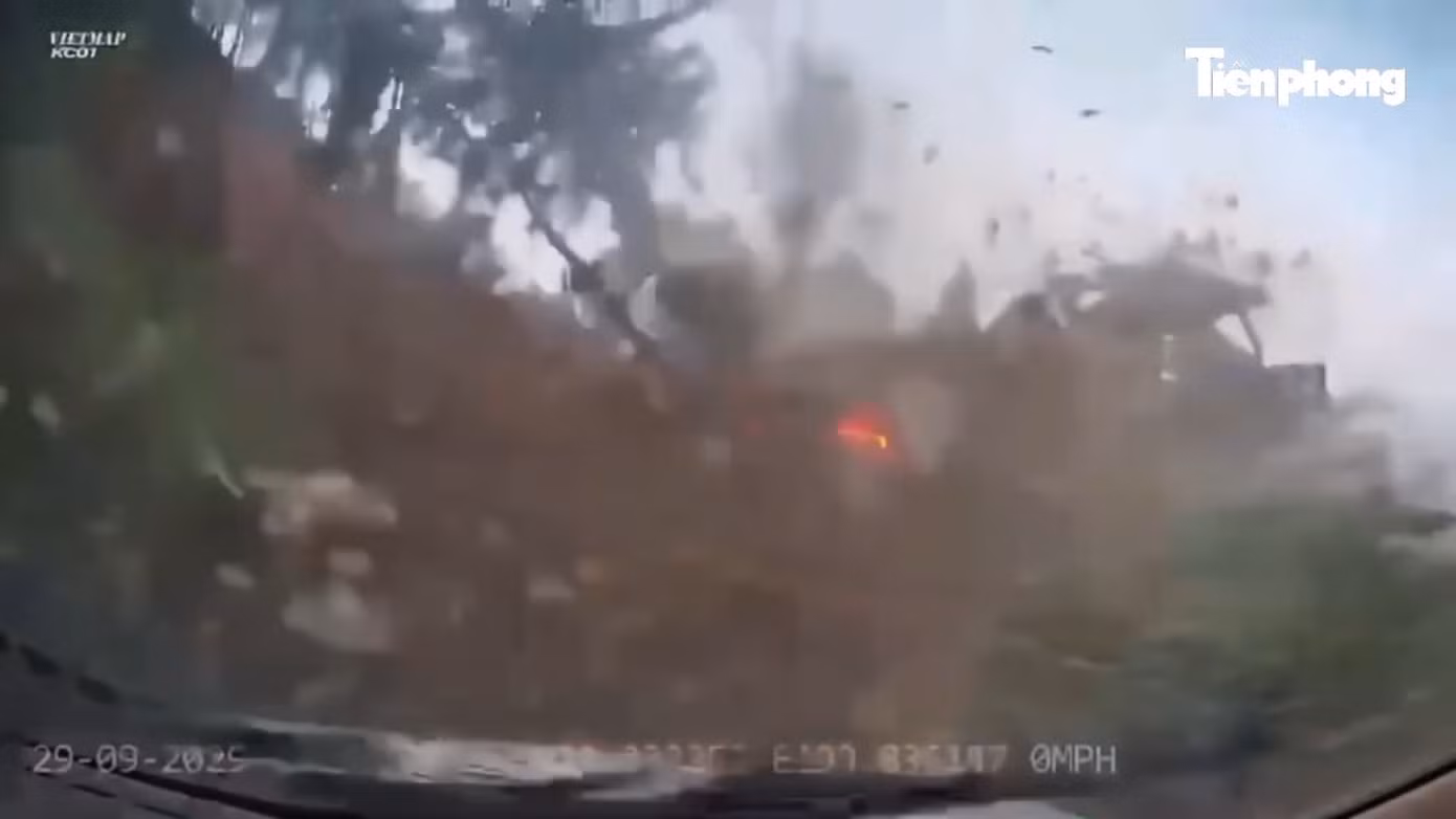 avatar-of-video-6007606.png