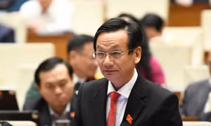 Đại biểu Quốc hội ủng hộ ưu đãi thuế xe điện đến hết năm 2030